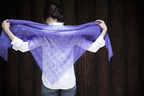 Back view of a person holding up a lace shawl 