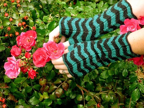 Person picking roses wearing Black and green knit armwarmers